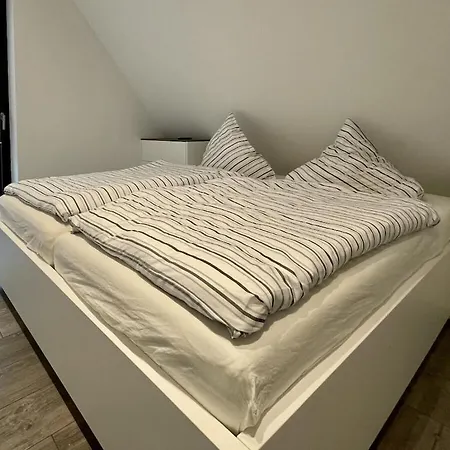 In With Swimming Pool Holiday home Zingst