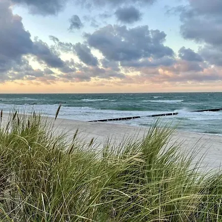 Holiday home In With Swimming Pool Zingst