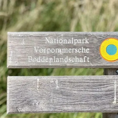 In With Swimming Pool Holiday home *