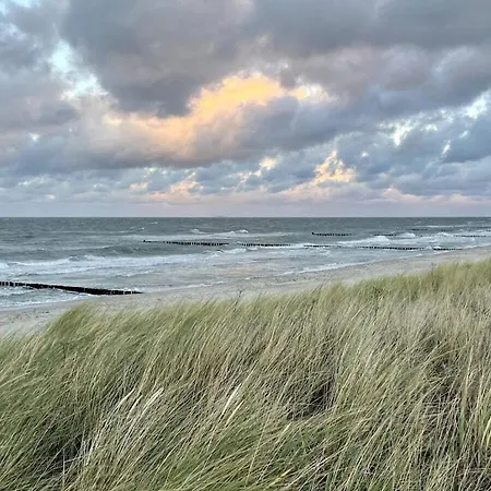 In With Swimming Pool Holiday home Zingst